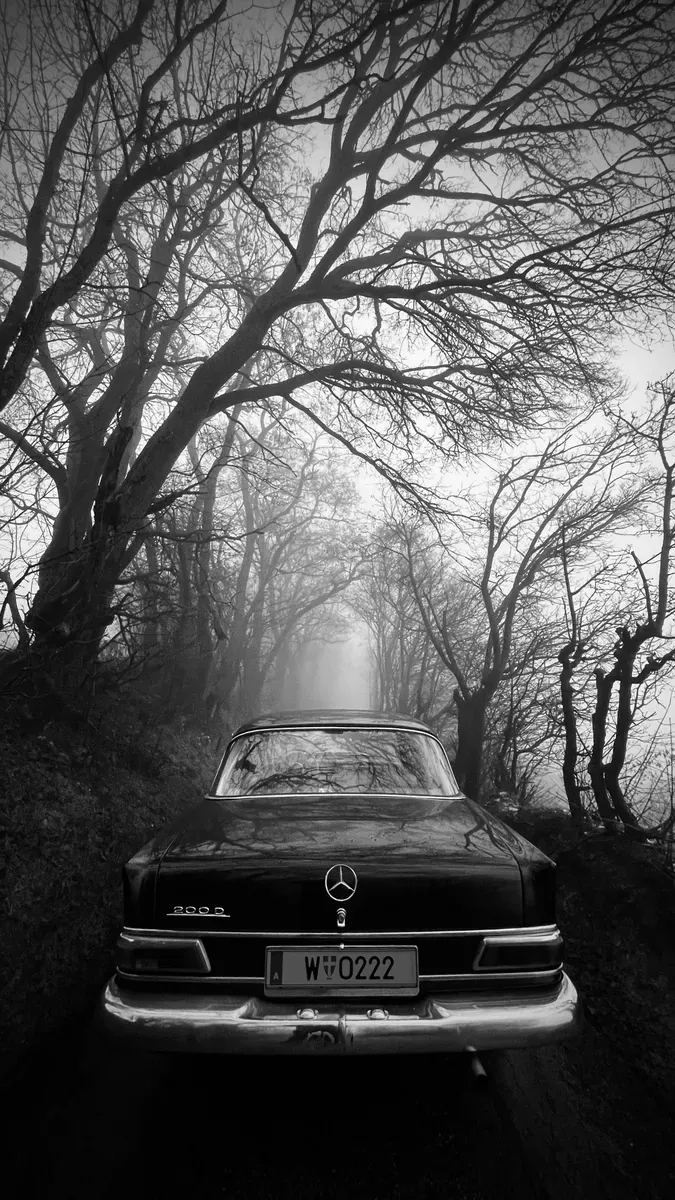 Mercedes-Benz Sonstige 1967 photo 2