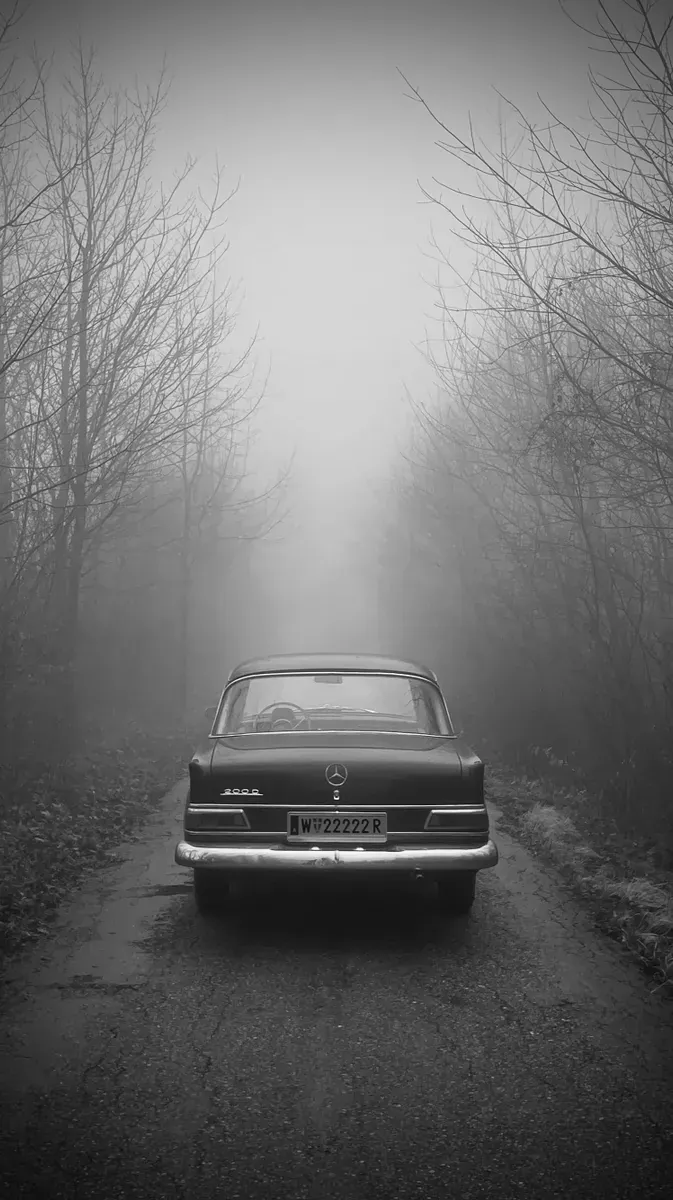 Mercedes-Benz Sonstige 1967 photo 3