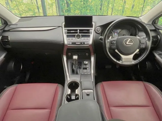 Lexus Nx300 2018 photo 2
