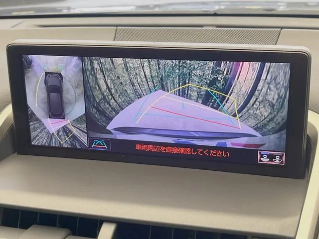 Lexus Nx300 2018 photo 4