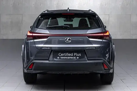 Lexus Ux300E 2024 photo 5