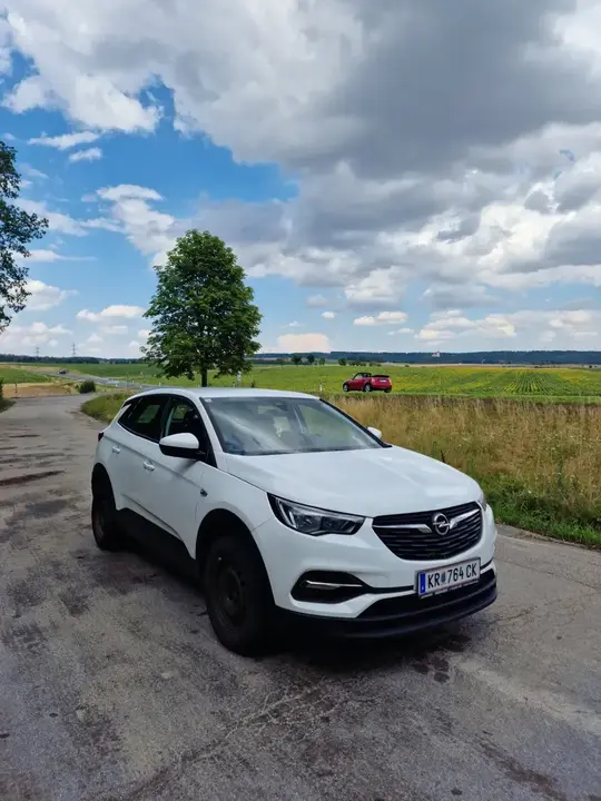 Opel Grandland X 2019 photo 2