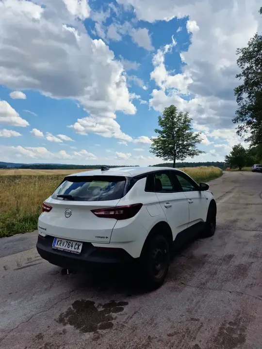 Opel Grandland X 2019 photo 3