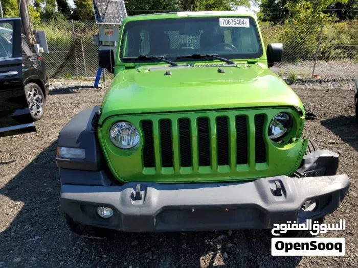 Jeep Wrangler 2020 photo 3