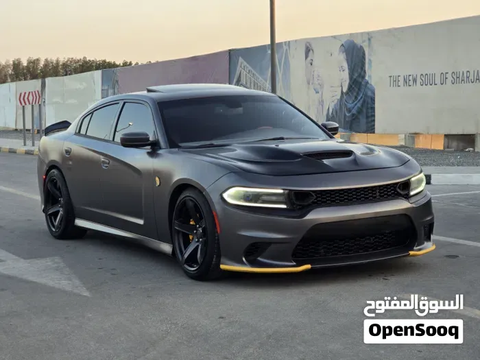 Dodge Charger 2014 photo 4