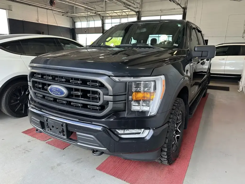 Ford F-150 2021 photo 3