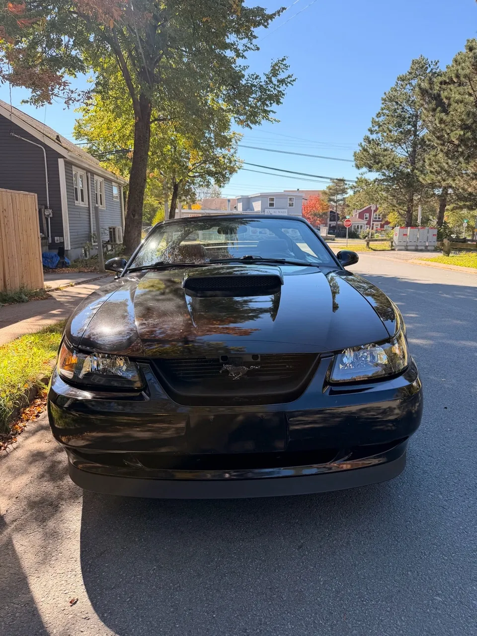 Ford Mustang 2002 photo 4