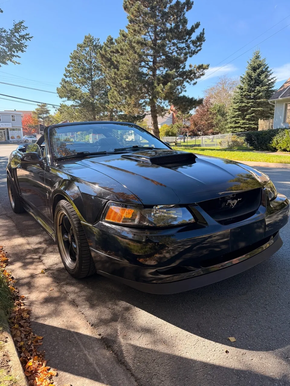 Ford Mustang 2002 photo 3