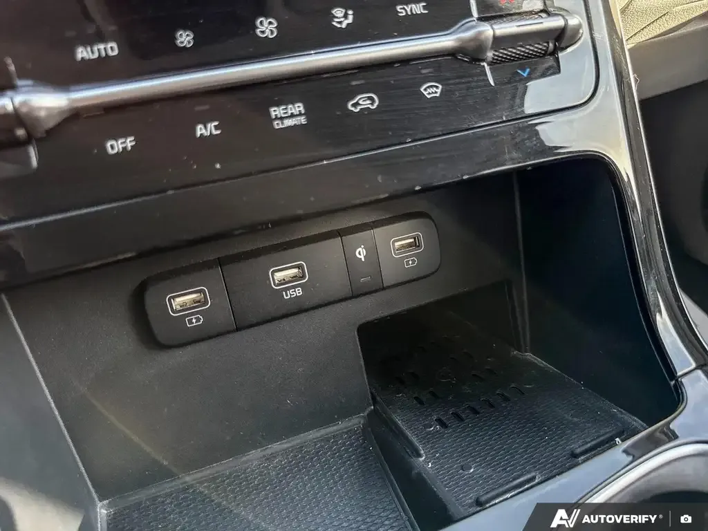 Kia Carnival 2024 photo 2