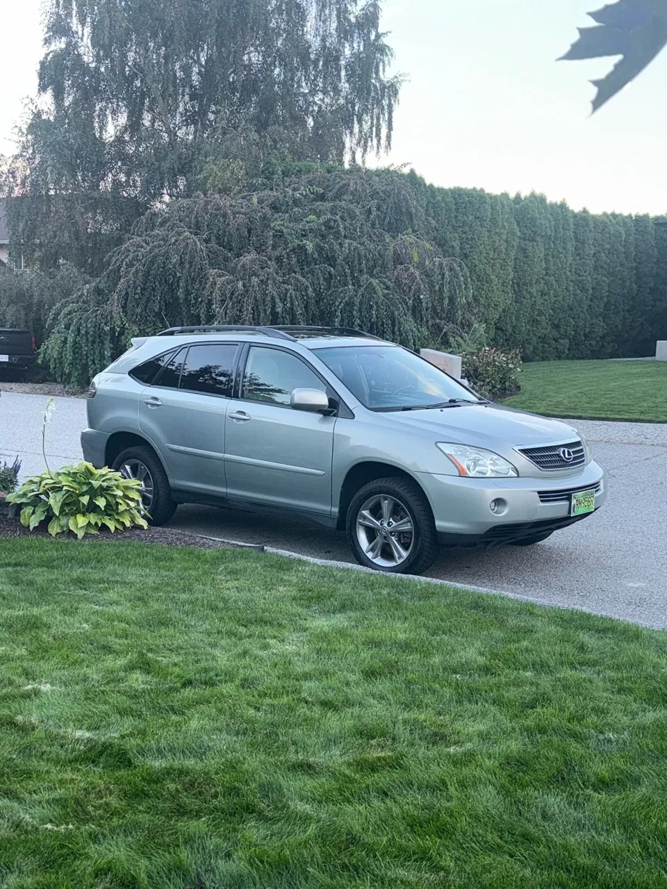 Lexus Rx