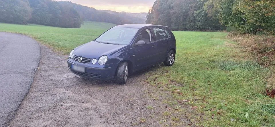 Volkswagen Polo 9N