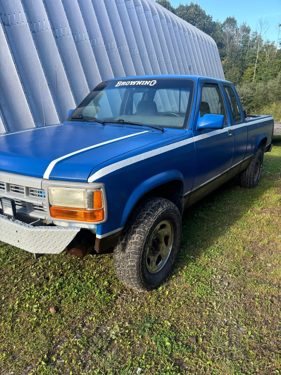 Dodge Dakota 1995 photo 3