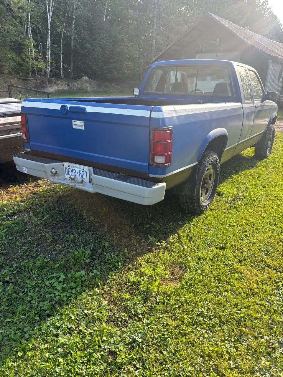 Dodge Dakota 1995 photo 2