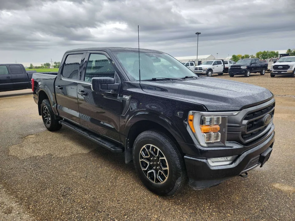 Ford F-150 2021 photo 3
