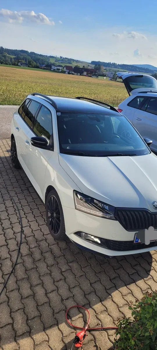 Skoda Fabia 2020 photo 3