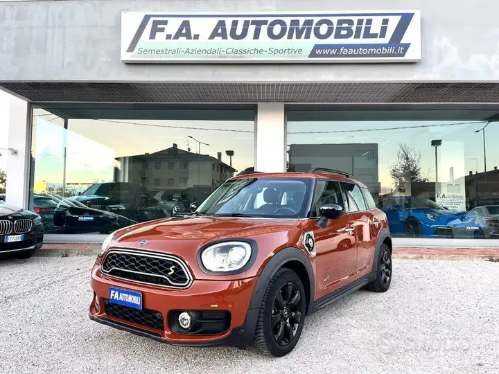 Mini Mini Countryman