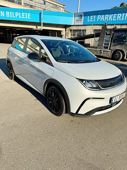 BYD Dolphin