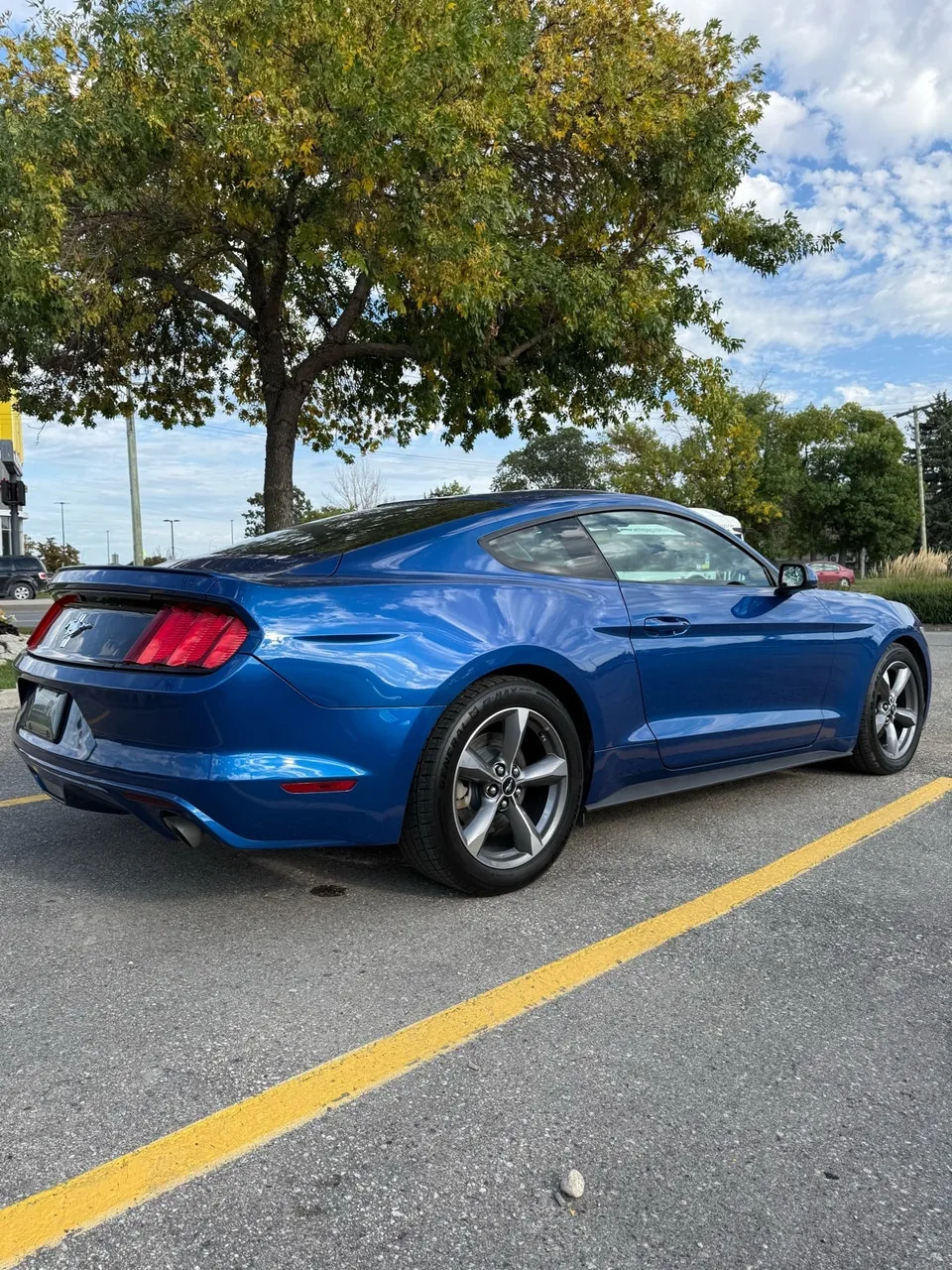 Ford Mustang 2017 photo 4