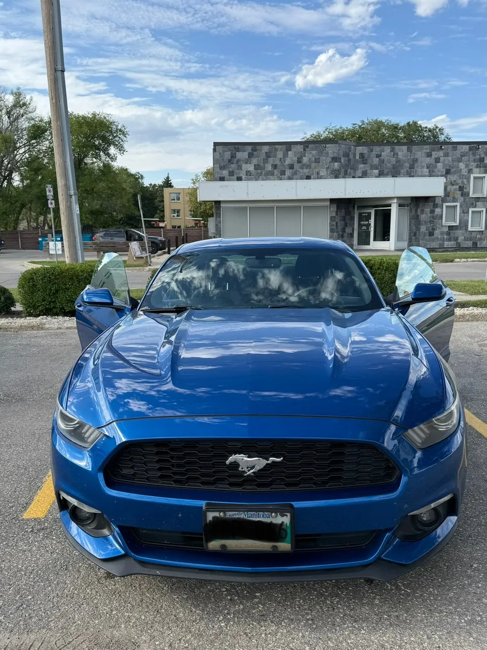 Ford Mustang 2017 photo 5