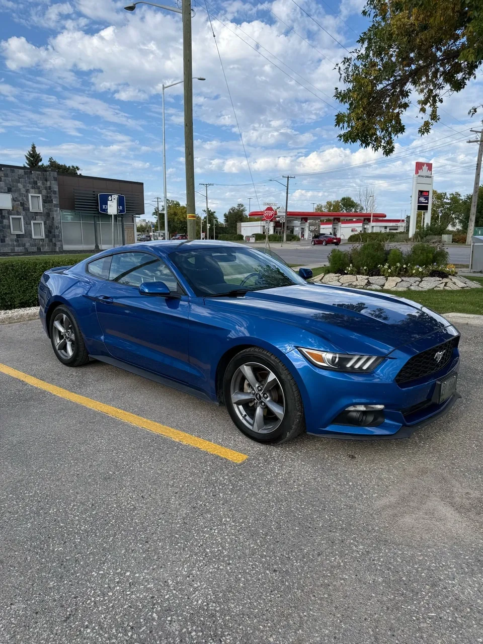 Ford Mustang 2017 photo 3