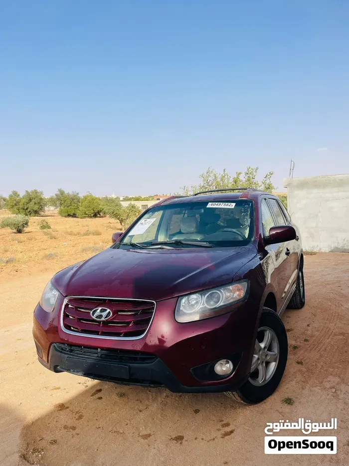 Hyundai Santa Fe 2009 photo 5