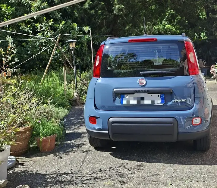 Fiat Panda 2022 photo 2