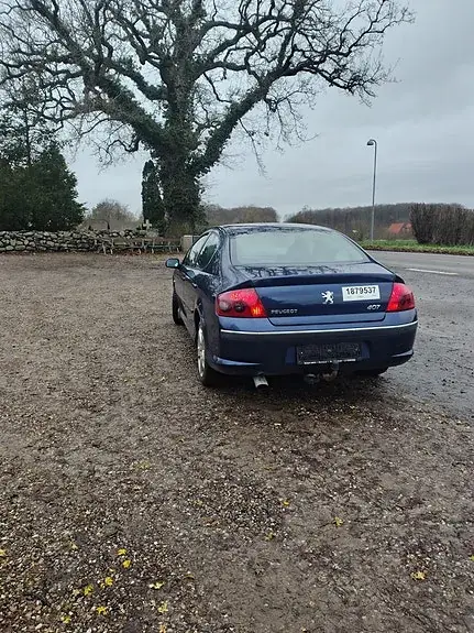Peugeot 407 2006 photo 4