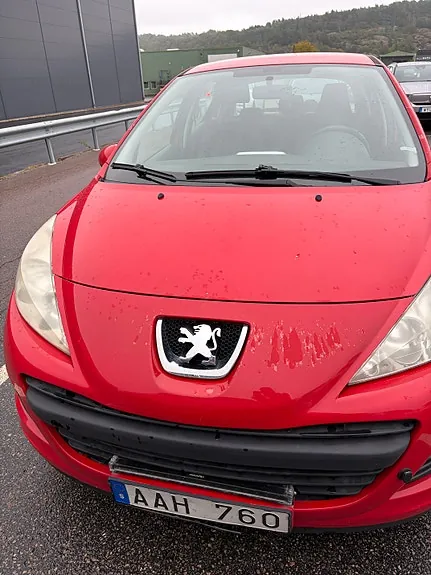 Peugeot 207 2010 photo 2