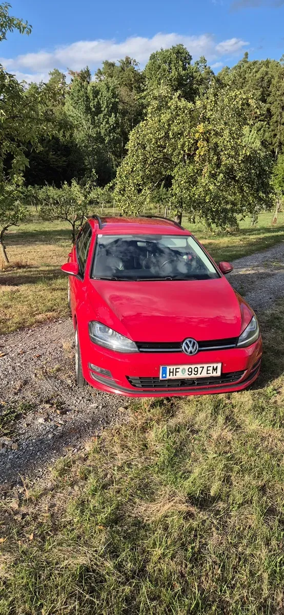 Volkswagen Golf 2017 photo 3
