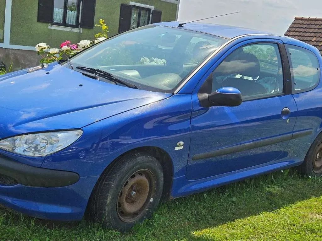 Peugeot 206 2005 photo 2