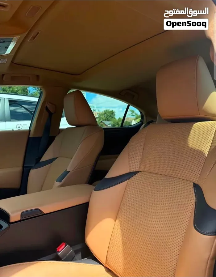 Lexus Es 250 2020 photo 4