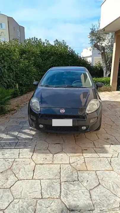 Fiat Punto 2017 photo 2