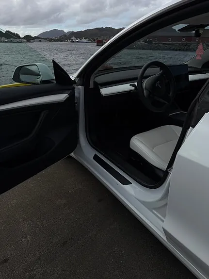 Tesla Model 3 2021 photo 4