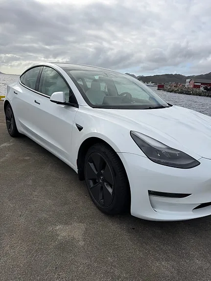 Tesla Model 3 2021 photo 3