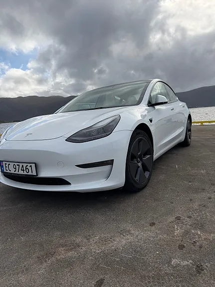 Tesla Model 3 2021 photo 2