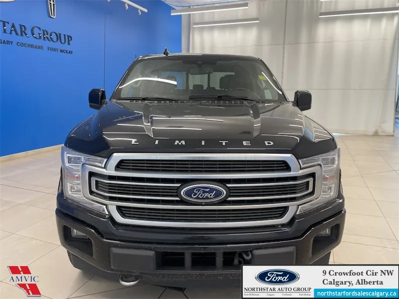 Ford F-150 2020 photo 2
