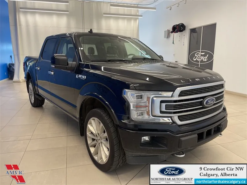 Ford F-150 2020 photo 3