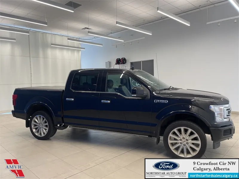 Ford F-150 2020 photo 4