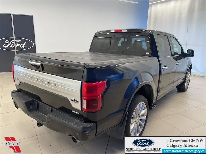 Ford F-150 2020 photo 5