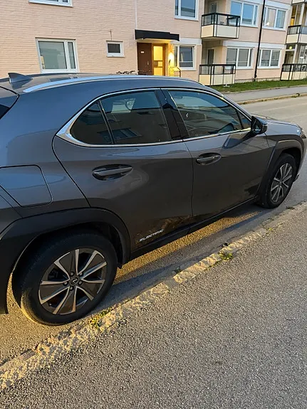 Lexus Ux300E 2021 photo 4