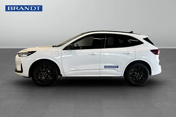 Ford Kuga 2026 photo 3