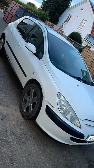 Peugeot 307 2004 photo 2