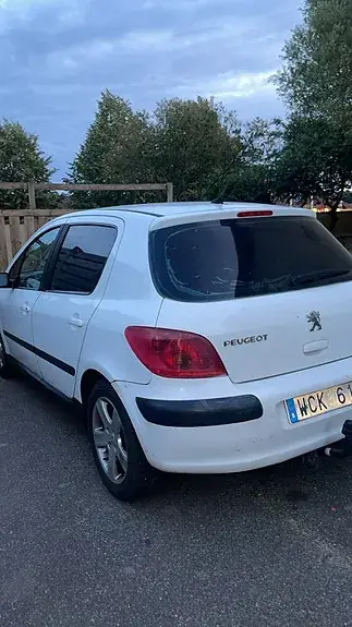 Peugeot 307 2004 photo 3