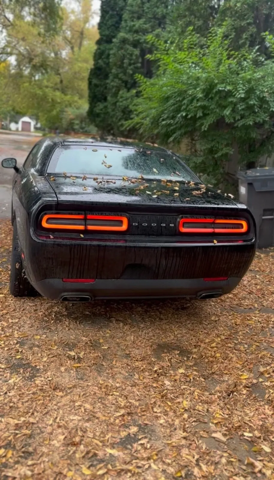 Dodge Challenger 2015 photo 2