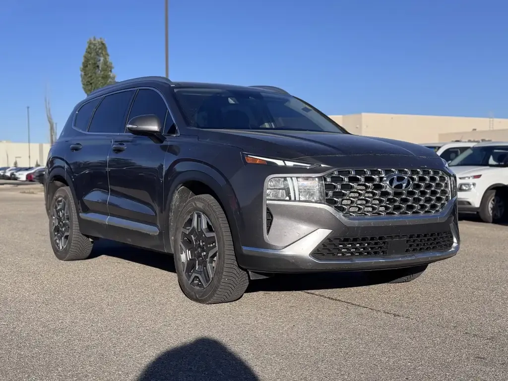 Hyundai Santa Fe 2022 photo 5