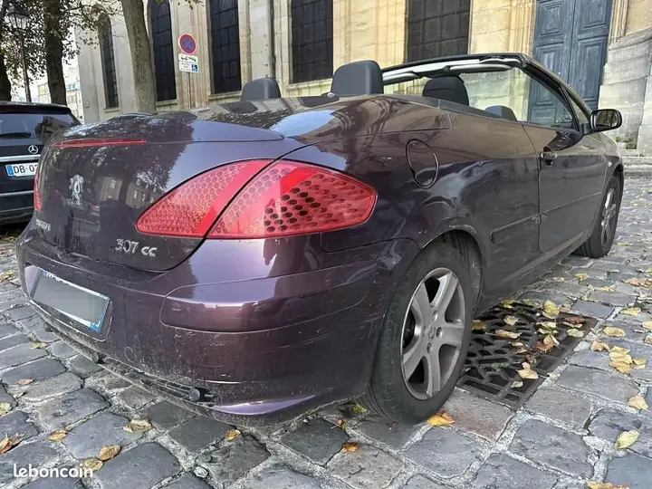 Peugeot 307 2005 photo 5