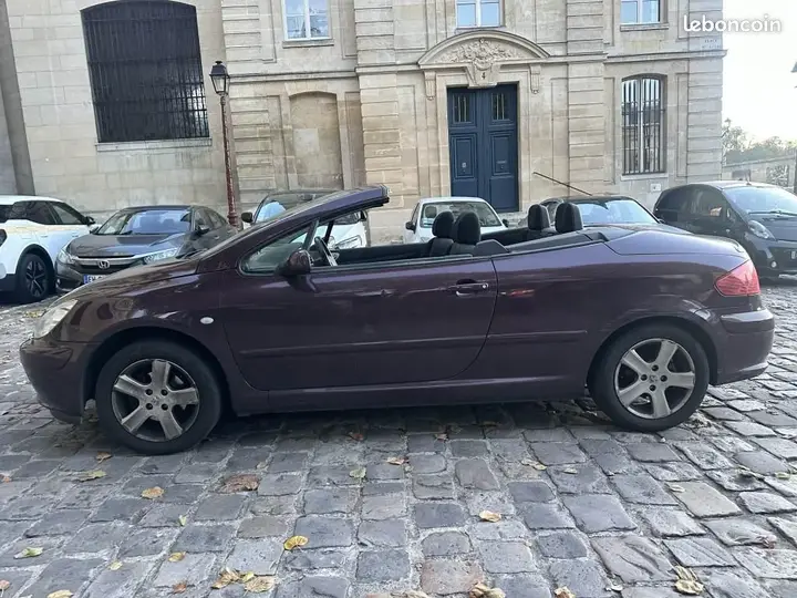 Peugeot 307 2005 photo 2