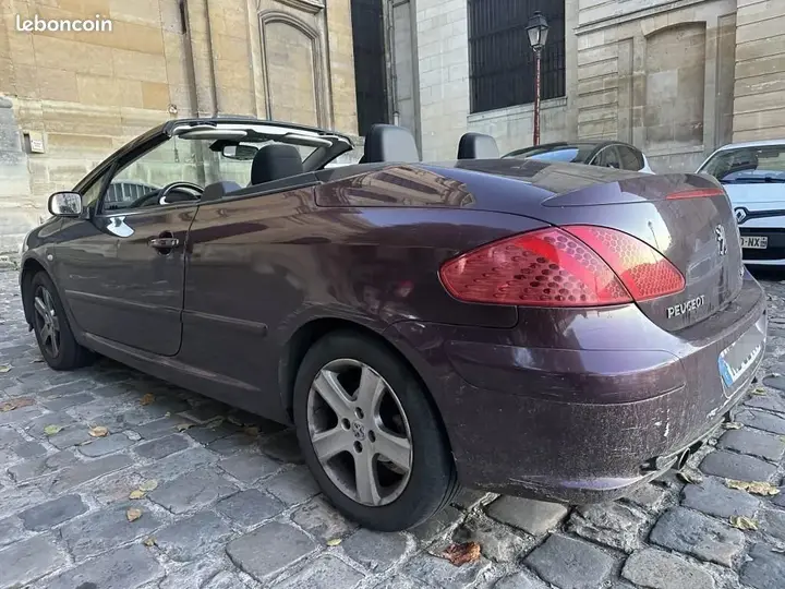 Peugeot 307 2005 photo 3