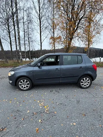 Skoda Fabia 2011 photo 2