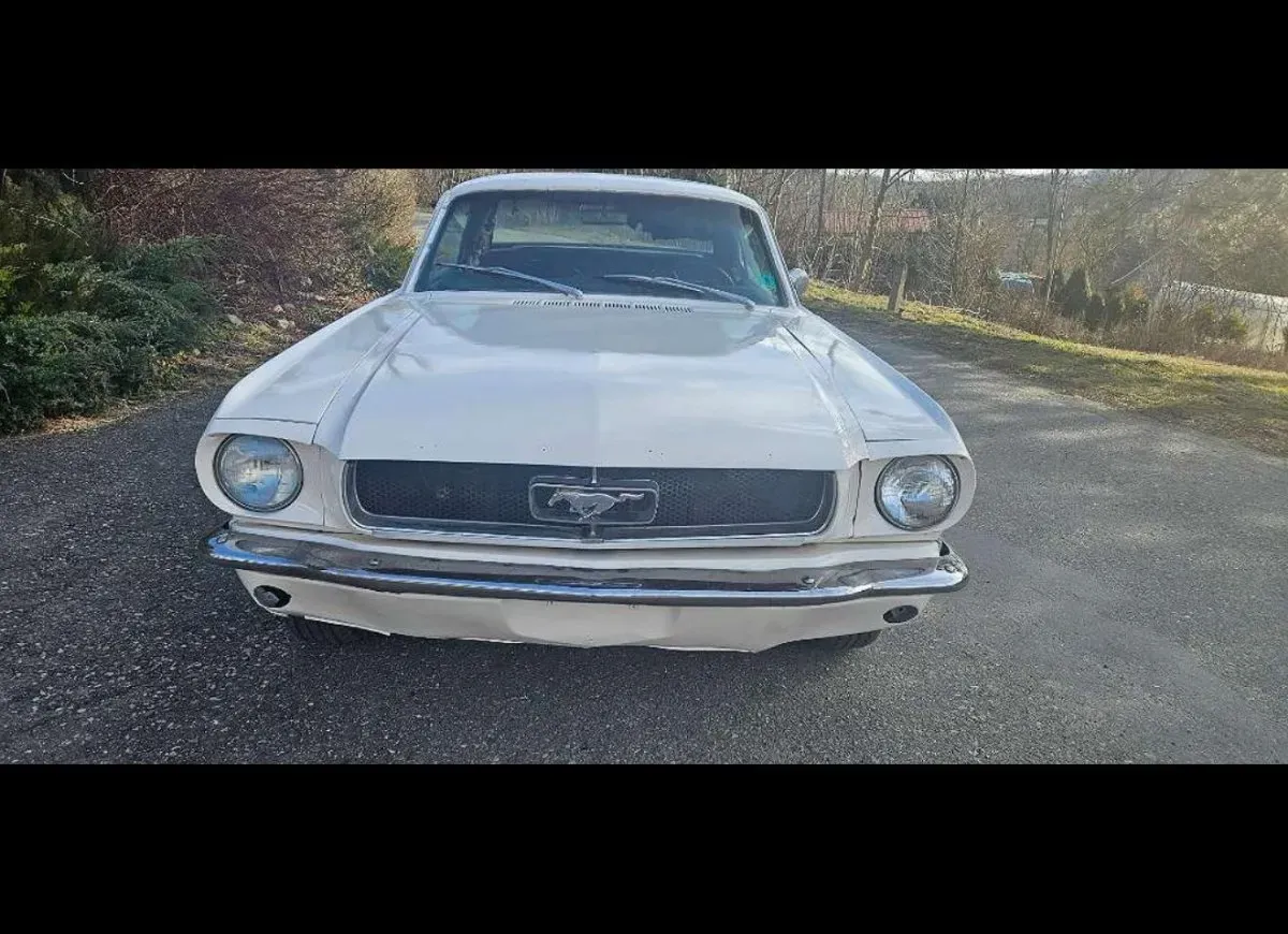 Ford Mustang 1966 photo 2